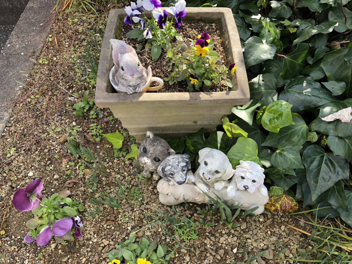 今後 とも どうぞ よろしく お願い 申し上げ ます